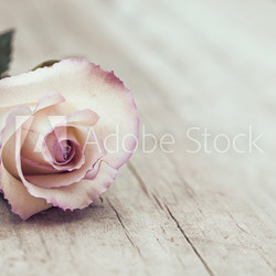 Vintage Rose