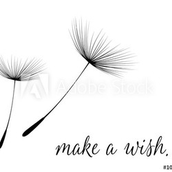 Make a wish card with dandelion fluff
