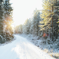Waldweg im Winter