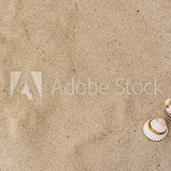 Sand Strand Hintergrund Maritim mit Muschelschalen