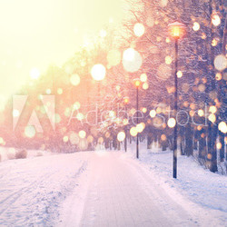 Schneefall im Park