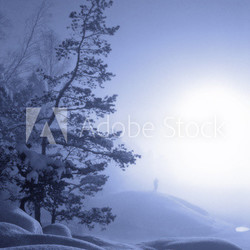 Landschaft in Winter