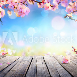 Spring Display - Pink Blossoms On Wooden Table
