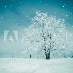Winter in New Zealand