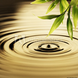Fresh bamboo leaves over water