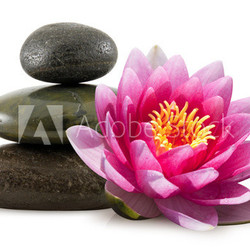 Fleur de lotus et galets zen