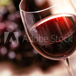 Red wine tasting