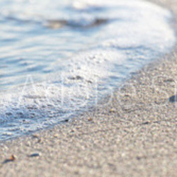 Meer, Sand und Muschel - Nahaufnahme