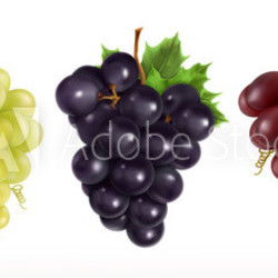 Red and white table grapes, wine grapes. Fresh fruit, 3d vector icon set