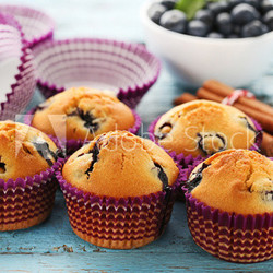 Heidelbeer Muffins