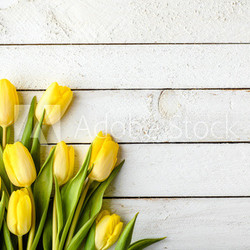 Yellow tulips, spring easter background or anniversary gift for mothers day or card for women's day at 8 march