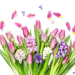Pastel colored flowers