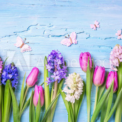 Pastel colored flowers