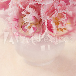 Pink tulips
