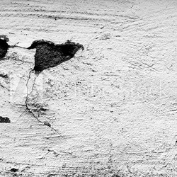 Wall fragment with scratches and cracks
