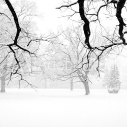 Winter weekend
