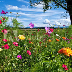 Bunte Landschaft