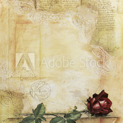 Altes Papier mit Rose