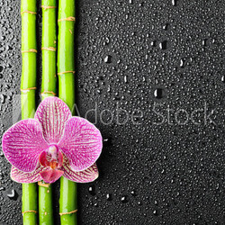 spa background