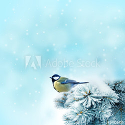 winter landscape