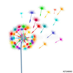Bunte-Pusteblume