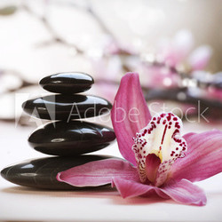 Spa Stones