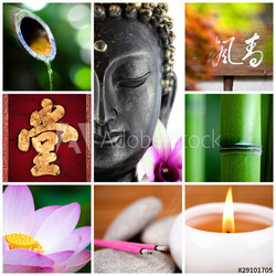bouddha bambou zen