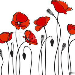 red poppies