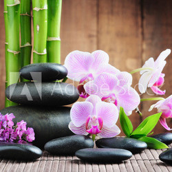 Spa concept