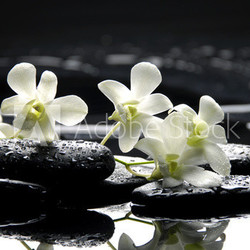 Zen stones and white orchids with reflection
