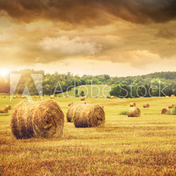 Field of freshly bales of hay with beautiful sunset