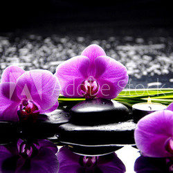 Spa still life with set of pink orchid and stones reflection