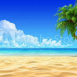 Palms on empty idyllic tropical sand beach