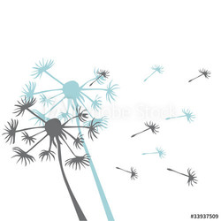 Pusteblume