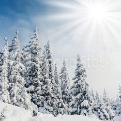 Winter-Fenster