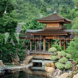 Oriental Chi Lin Nunnery, Chinese garden with pool