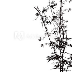 Abstract floral background with a bamboo.