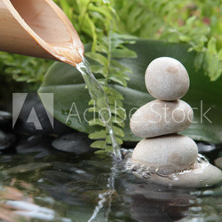filet d'eau