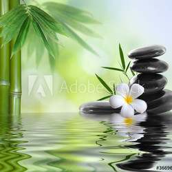 spa stones with frangipani