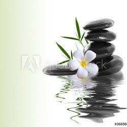 frangipani and stones on a white background