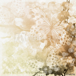 Butterflies and orchids flowers beige background ( 1 of set)