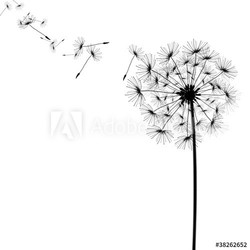 Pusteblume