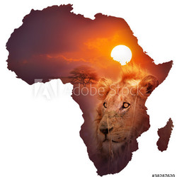 African Wildlife Map