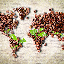 Coffee around the world