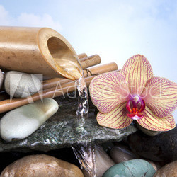 Spa et Thalasso
