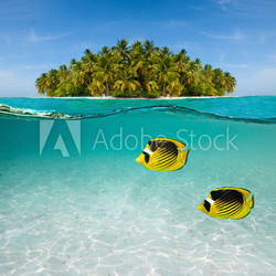 Palm island and underwater world