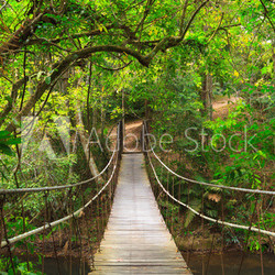 Bridge to the jungle,Khao Yai national park,Thailand