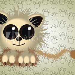 fluffy - Mietzekatze