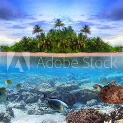 Marine life at tropical island of Maldives