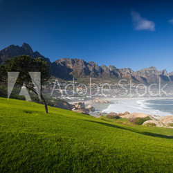 Grass and Blue Sky